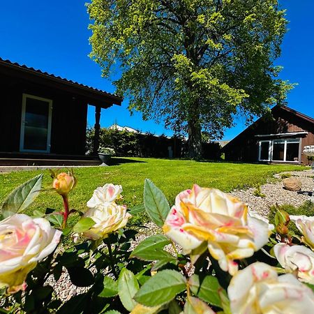 Aguona Royal Oasis Villa Molėtai Eksteriør billede